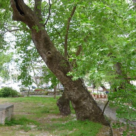 Ξενοδοχείο Παγώνα Λουτρά Αιδηψού Εξωτερικό φωτογραφία